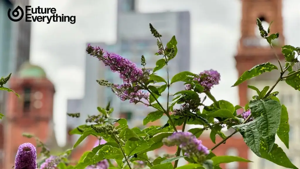 manchester institution welcomes nature to the board in groundbreaking move business manchester